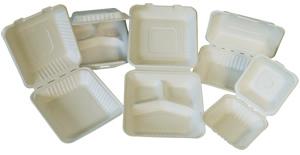 GEN Foam Hinged Carryout Containers - Candor Janitorial Supply